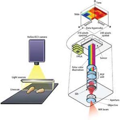 1202vsdfea2f2 1202vsdfea2f2