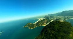 Brazil Ladybug Brazil Ladybug