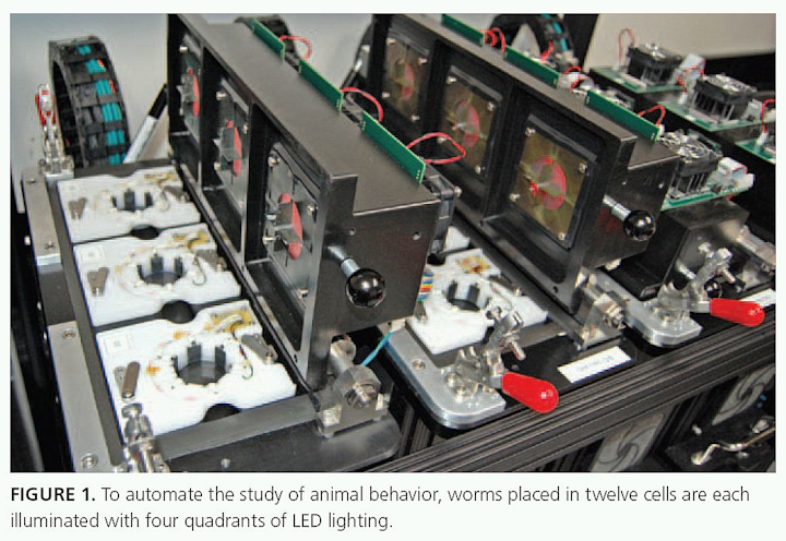 Worms placed in cells are each illuminated with four quadrants of LED lighting
