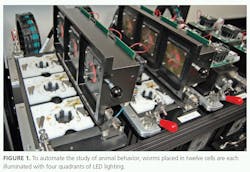 Worms placed in cells are each illuminated with four quadrants of LED lighting Worms placed in cells are each illuminated with four quadrants of LED lighting