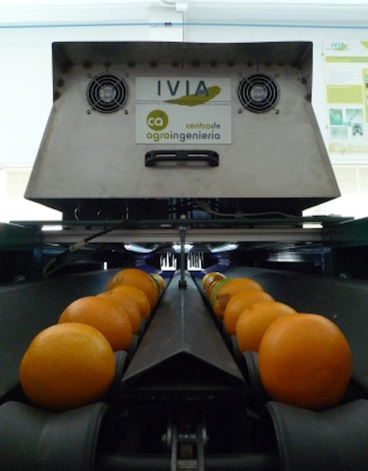 Machine-vision-based inspector sorts oranges and mandarins