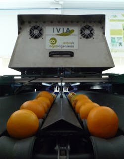 Machine-vision-based inspector sorts oranges and mandarins Machine-vision-based inspector sorts oranges and mandarins