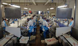 Hyperspectral imaging system helps automate inspection of cod fillets in production Hyperspectral imaging system helps automate inspection of cod fillets in production