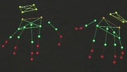 Academics at the University of Southampton are using a motion captrue system known as HAWK (Hand And Wrist Kinematics) to examine the way pianists play Academics at the University of Southampton are using a motion captrue system known as HAWK (Hand And Wrist Kinematics) to examine the way pianists play