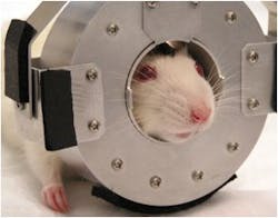 Startup SynchroPET is looking to commercialize a portable brain-imaging PET scanner that was invented by Brookhaven National Laboratory scientists. Startup SynchroPET is looking to commercialize a portable brain-imaging PET scanner that was invented by Brookhaven National Laboratory scientists.