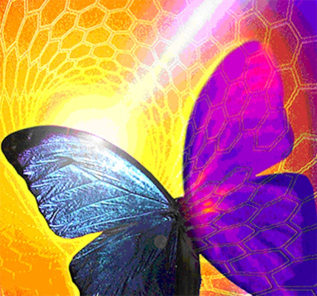 Doping the butterfly scales of Morpho butterflies with nanotubes can create new thermal imaging sensors