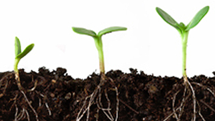 Image analysis software can automatically distinguish plant roots from other materials found in soil.
