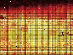 A novel two-dimensional high-frame-rate CMOS imager based on single-photon avalanche diodes (SPADs). A novel two-dimensional high-frame-rate CMOS imager based on single-photon avalanche diodes (SPADs).