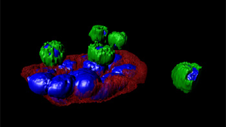 Blood test detects and analyzes circulating tumor cells (CTCs).
