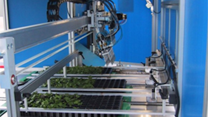 Vision system sorts out the plants
