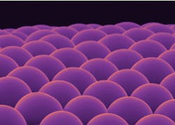 Microlens arrays built from biomaterials