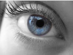 Spotting liars by tracking eye movement Spotting liars by tracking eye movement