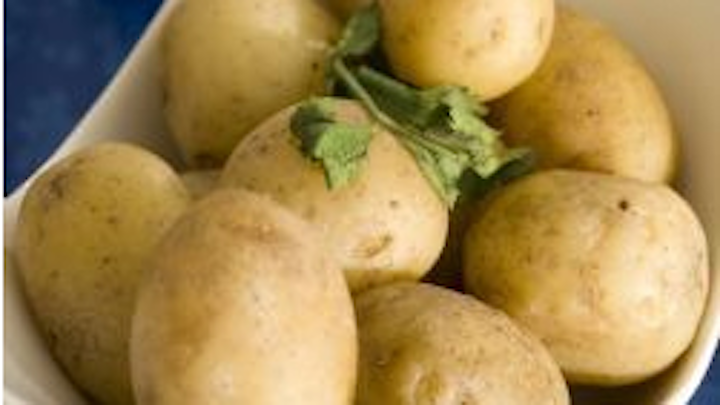 Potato industry reaps benefits of computer vision