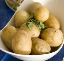 Potato industry reaps benefits of computer vision Potato industry reaps benefits of computer vision