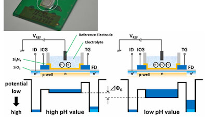 Image sensor detects pH