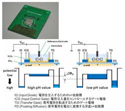 Image sensor detects pH Image sensor detects pH