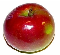 Neya Systems awarded contract for produce classification Neya Systems awarded contract for produce classification