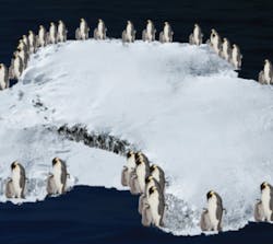 An international team of scientists has used satellite images to estimate the number of penguins at each colony around the coastline of Antarctica. An international team of scientists has used satellite images to estimate the number of penguins at each colony around the coastline of Antarctica.