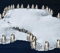 An international team of scientists has used satellite images to estimate the number of penguins at each colony around the coastline of Antarctica.
