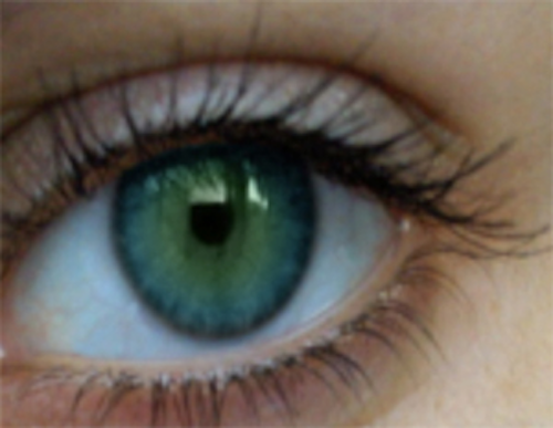 Student software app spots signs of sight loss