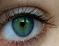 Student software app spots signs of sight loss Student software app spots signs of sight loss