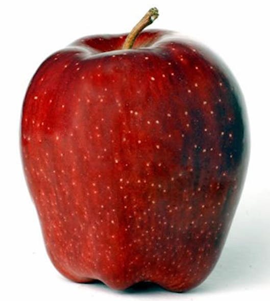 Hyperspectral imaging system detects defects on apples