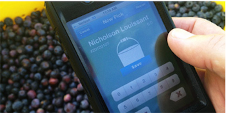iPhone app helps farmers manage fruit pickers