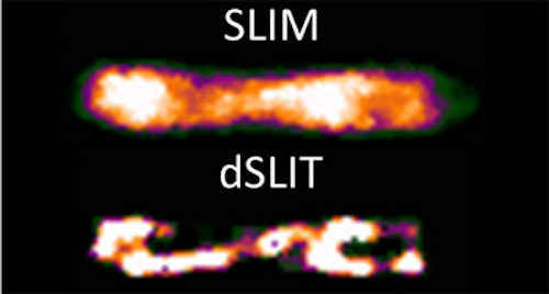 Non-invasive method images cells in 3-D