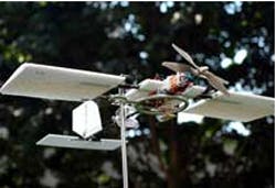 Cameras capture bird motion to aid with development of UAV Cameras capture bird motion to aid with development of UAV