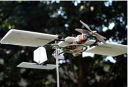 Cameras capture bird motion to aid with development of UAV