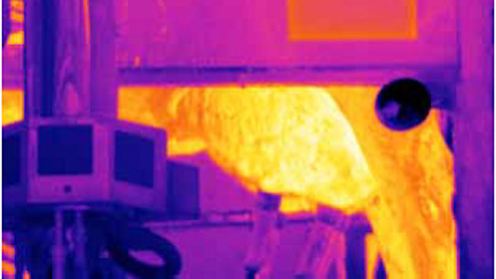Thermal imaging cameras monitor health of cows