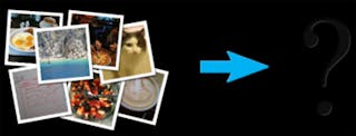 Image annotation combines machine vision and crowd-sourcing