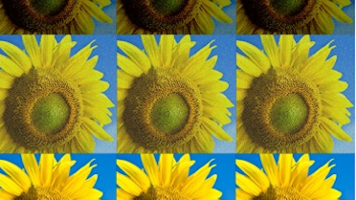 MIT researchers develop new programming language for image processing