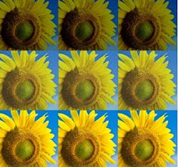 MIT researchers develop new programming language for image processing MIT researchers develop new programming language for image processing