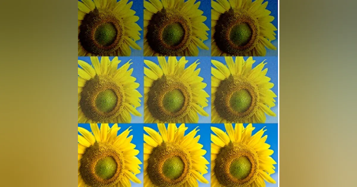MIT researchers develop new programming language for image processing ...