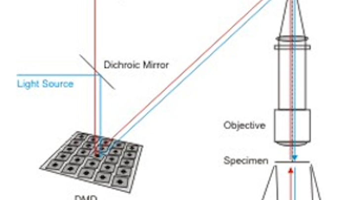 Micromirror speeds image acquisition of microscope