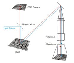 Micromirror speeds image acquisition of microscope Micromirror speeds image acquisition of microscope