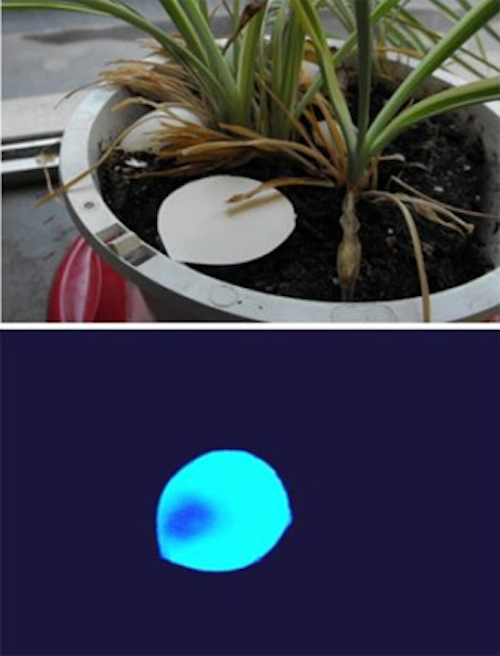 Lightweight film detects explosives