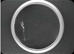 Foil seals on plastic lids checked for integrity Foil seals on plastic lids checked for integrity