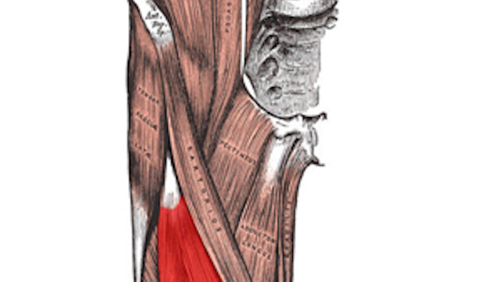 Ultrasound helps medics to measure muscle wasting