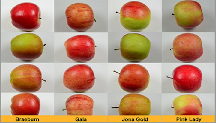 Sample Based Identification Software Spots A Pink Lady Vision Systems Design