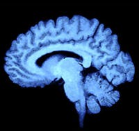 Spectroscopy aids brain tumor detection