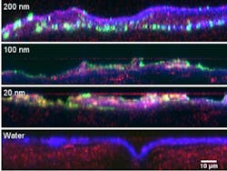 Imaging technique shows nanoparticles do not penetrate skin Imaging technique shows nanoparticles do not penetrate skin