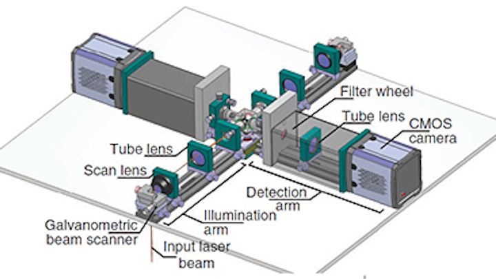 Cameras help image live biological specimens in 3-D