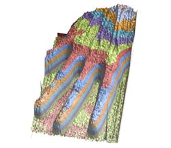 Researchers image a hand with protons Researchers image a hand with protons