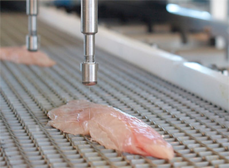 Fish processed by vision system