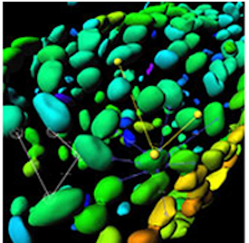 Scientific imaging competition open for entries