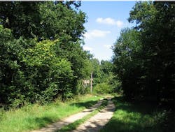 Cameras capture climate change Cameras capture climate change