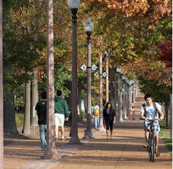 Webcams help researchers analyze the use of open space Webcams help researchers analyze the use of open space