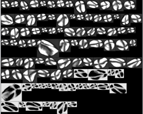Instrument images birefringent particles